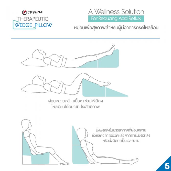 nologoSKU_wedge_pillow__info_05 nologoSKU_wedge_pillow__info_05